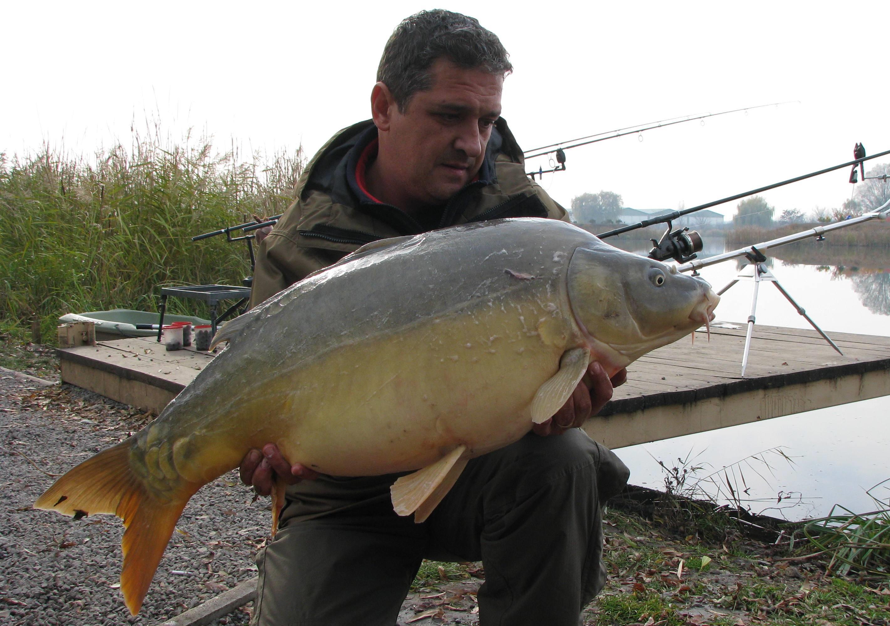 capturi - IMG_2760.JPG